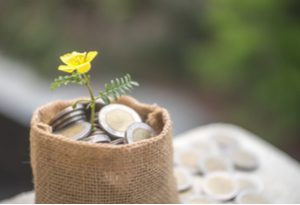 Clean your finances this spring